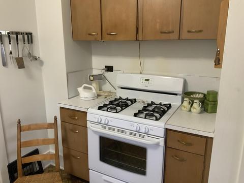 958 E Wilcox Ave, White Cloud, MI 49349 photo 29