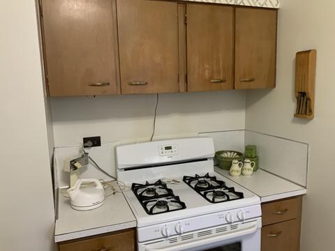 958 E Wilcox Ave, White Cloud, MI 49349 photo 30