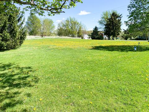 16280 Bailey Rd, Bailey, MI 49303 photo 10
