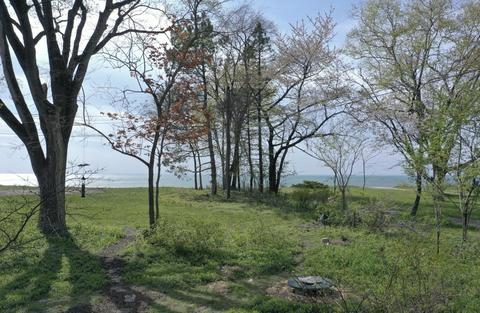 2425 Birch Path, St. Joseph, MI 49085 photo 45