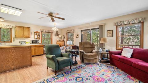 6280 Deerpath Rd E, Evart, MI 49631 photo 15