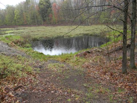 9557 E Anthony Rd, Branch, MI 49402 photo 37