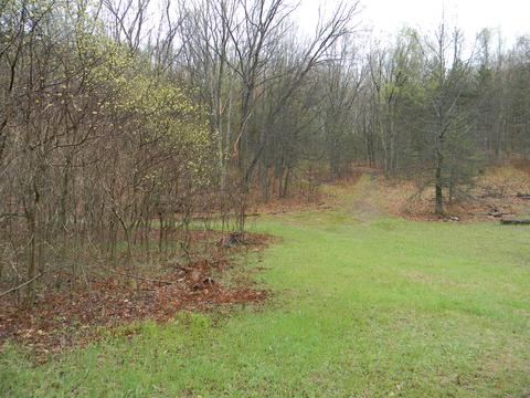9557 E Anthony Rd, Branch, MI 49402 photo 36