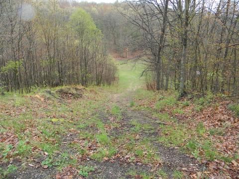 9557 E Anthony Rd, Branch, MI 49402 photo 34