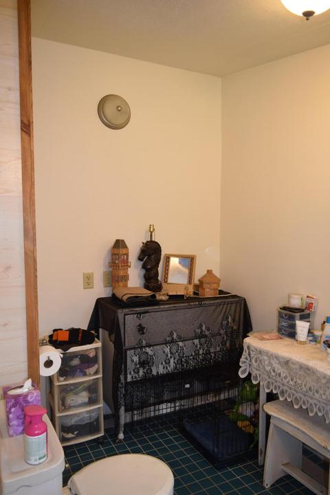 278 S Locust Ave, White Cloud, MI 49349 photo 17