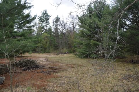 278 S Locust Ave, White Cloud, MI 49349 photo 35
