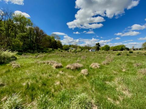 3407 Chamberlain Rd, Buchanan, MI 49107 photo 11