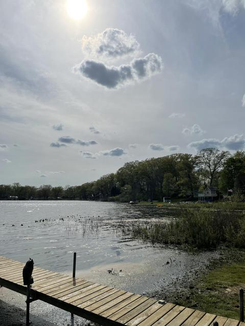 263 Pine St, Bitely, MI 49309 photo 3