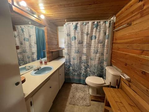 263 Pine St, Bitely, MI 49309 photo 15