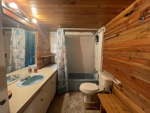 263 Pine St, Bitely, MI 49309 photo 16
