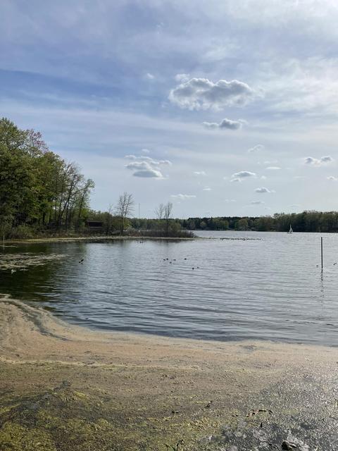 263 Pine St, Bitely, MI 49309 photo 2