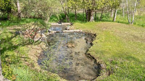341 Vine St, Stanton, MI 48888 photo 9