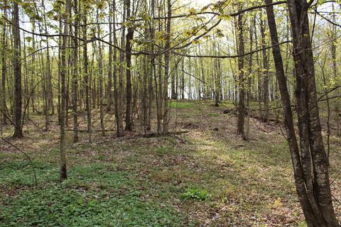 3716 Ford Rd, Wolverine, MI 49799 photo 45