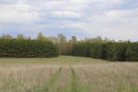 3716 Ford Rd, Wolverine, MI 49799 photo 40