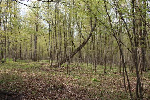 3716 Ford Rd, Wolverine, MI 49799 photo 46
