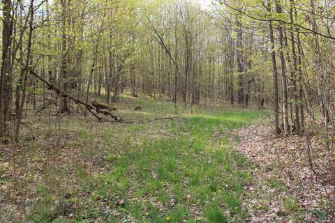 3716 Ford Rd, Wolverine, MI 49799 photo 44