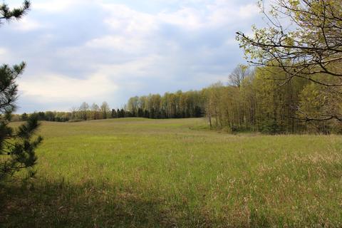 3716 Ford Rd, Wolverine, MI 49799 photo 47