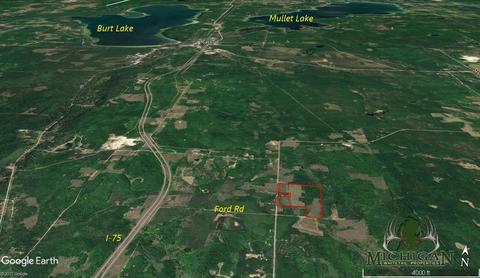 3716 Ford Rd, Wolverine, MI 49799 photo 50