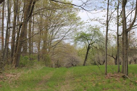 3716 Ford Rd, Wolverine, MI 49799 photo 36