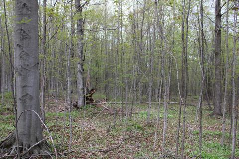 3716 Ford Rd, Wolverine, MI 49799 photo 39