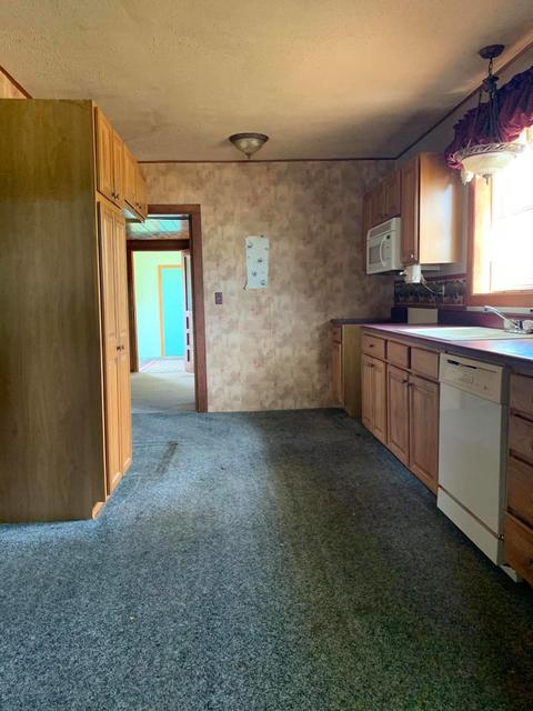 2281 E Mcbrides Rd, Edmore, MI 48829 photo 17