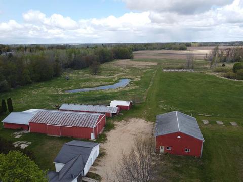 2281 E Mcbrides Rd, Edmore, MI 48829 photo 9