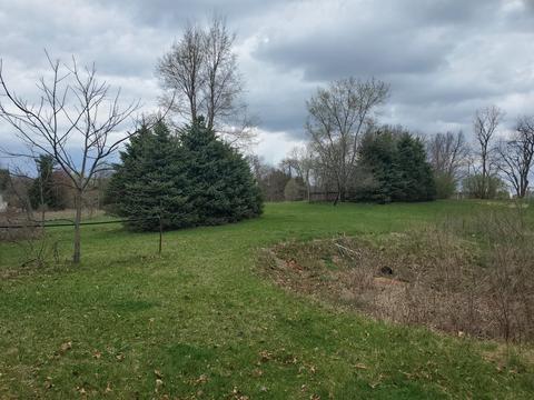 13391 Garber Rd, Constantine, MI 49042 photo 13