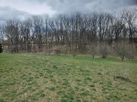 13391 Garber Rd, Constantine, MI 49042 photo 9