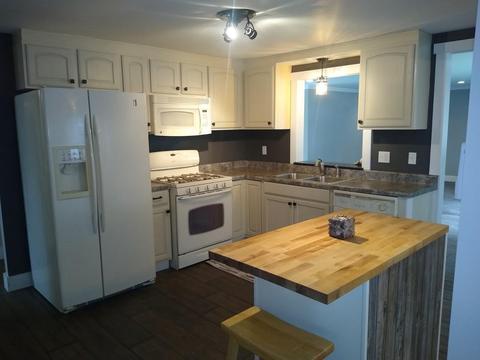 140 Sutherland Dr NW, Stanton, MI 48888 photo 8