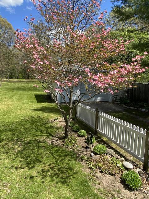 1318 8th St, Three Rivers, MI 49093 photo 14