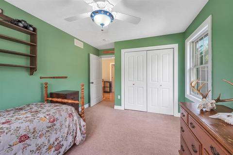 4600 E Colby Rd, Stanton, MI 48888 photo 25