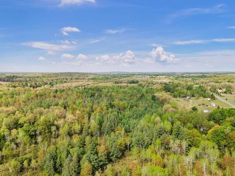 4600 E Colby Rd, Stanton, MI 48888 photo 51