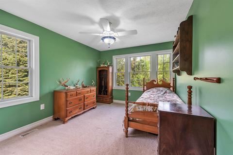 4600 E Colby Rd, Stanton, MI 48888 photo 24