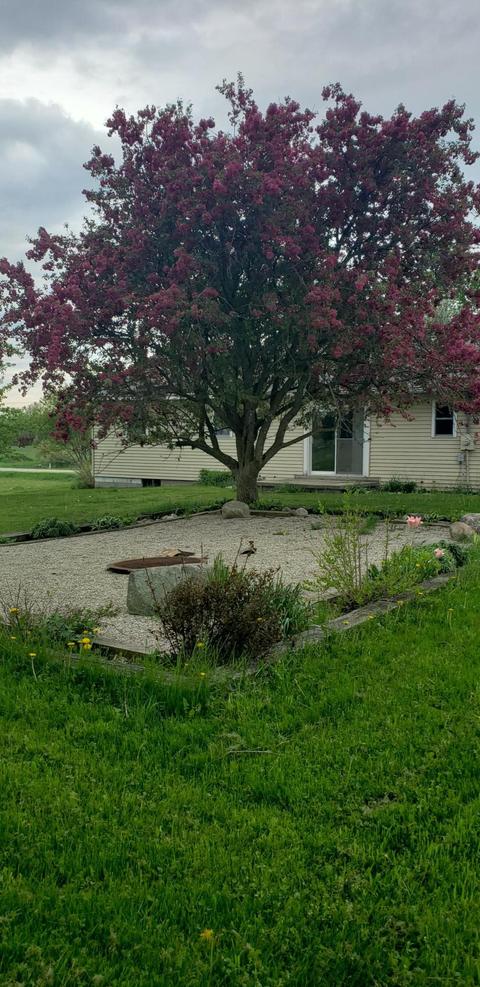 5100 50th Ave, Sears, MI 49679 photo 7