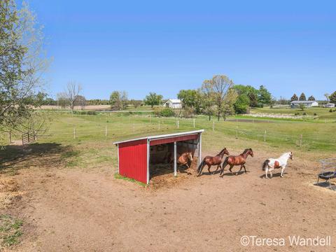 3641 Eckert Rd, Freeport, MI 49325 photo 58
