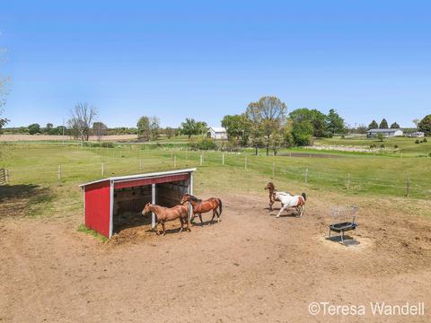 3641 Eckert Rd, Freeport, MI 49325 photo 57