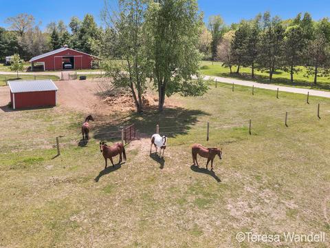 3641 Eckert Rd, Freeport, MI 49325 photo 63