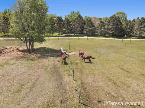 3641 Eckert Rd, Freeport, MI 49325 photo 64