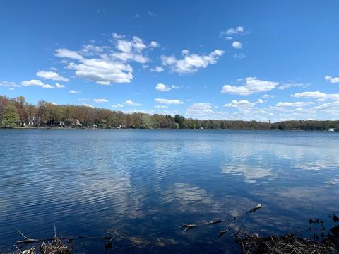 1017 Lake St, Pullman, MI 49450 photo 23