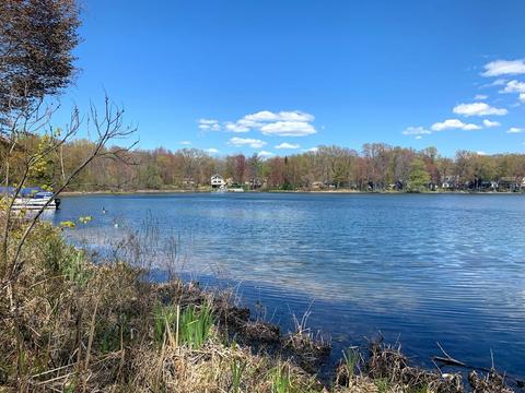 1017 Lake St, Pullman, MI 49450 photo 21