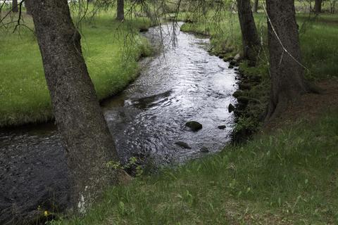 3972 Marsh Trl, White Cloud, MI 49349 photo 2