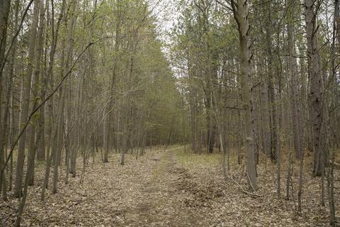 3972 Marsh Trl, White Cloud, MI 49349 photo 18