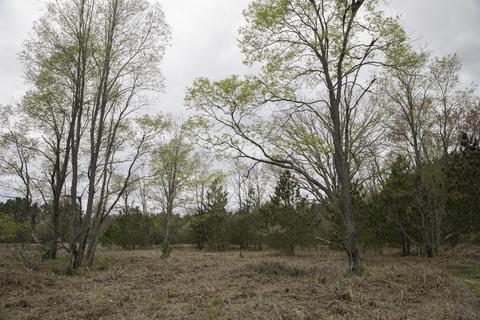 3972 Marsh Trl, White Cloud, MI 49349 photo 17