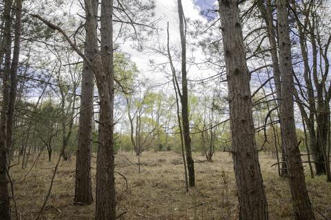 3972 Marsh Trl, White Cloud, MI 49349 photo 20