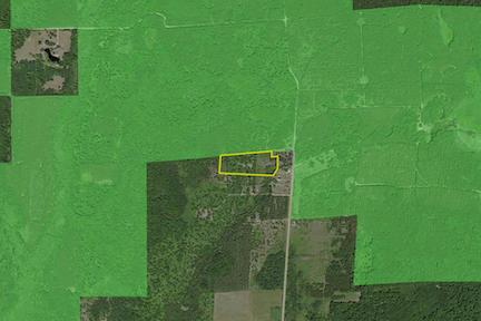 3972 Marsh Trl, White Cloud, MI 49349 photo 14