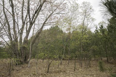 3972 Marsh Trl, White Cloud, MI 49349 photo 21