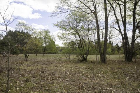 3972 Marsh Trl, White Cloud, MI 49349 photo 3