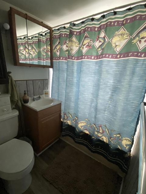 7593 Kathleen Dr, Reading, MI 49274 photo 21