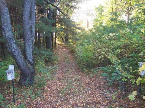 4626 Berlin Dr, Reading, MI 49274 photo 36