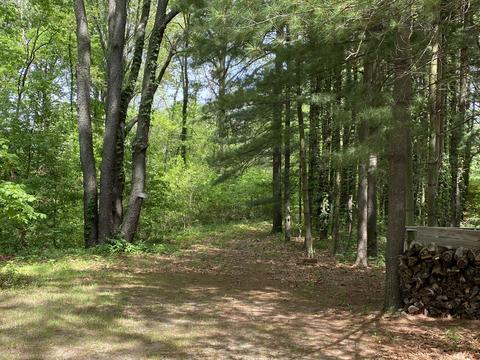 4626 Berlin Dr, Reading, MI 49274 photo 34